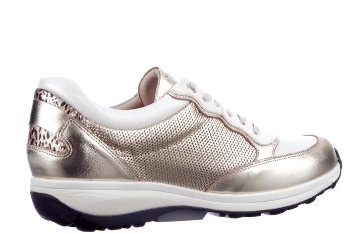 30100.3.911 Carrara Xsensible goud combi image