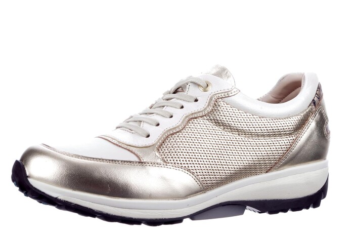 30100.3.911 Carrara Xsensible goud combi image