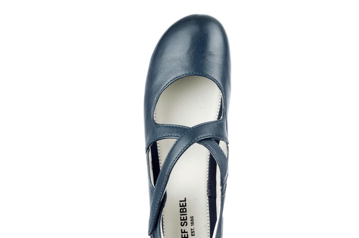 87272 Seibel blauw image