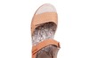 200123 Ganter oranje thumbnail