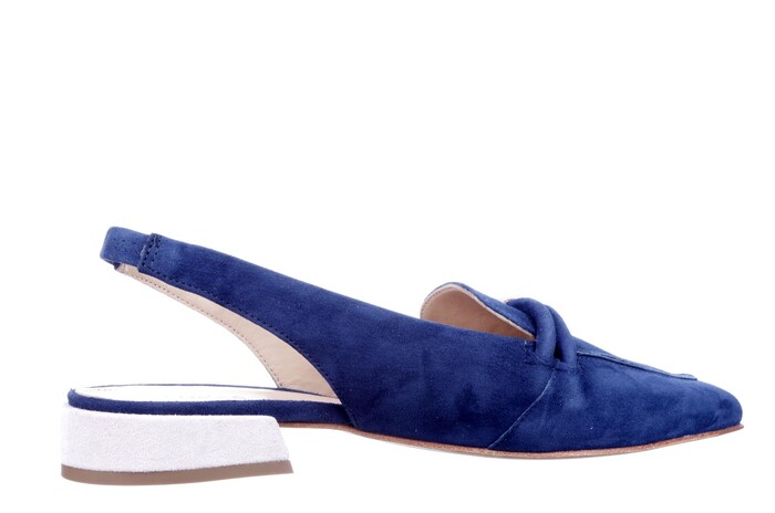001387 Maripe blauw image