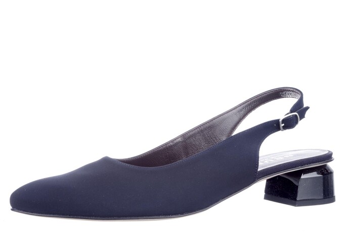 31806 Brunate blauw image