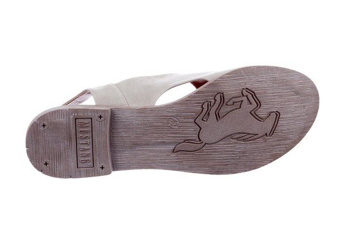 1388-807 Mustang beige image