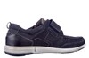 25324 Seibel blauw thumbnail
