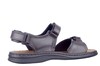 10104 Seibel bruin thumbnail