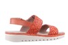 230842 PieSanto oranje thumbnail
