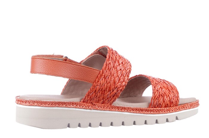 230842 PieSanto oranje image
