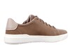 Timberland beige TBOA5TY5 thumbnail