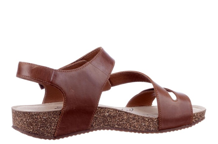 78519 69 480 Seibel camel image