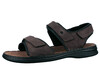 10104 Seibel bruin thumbnail