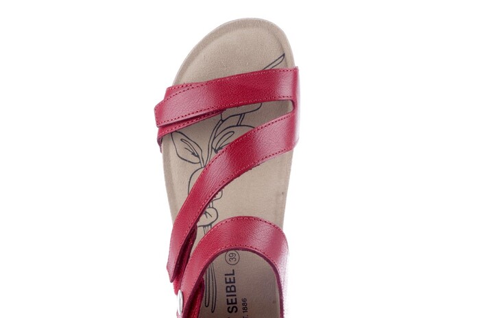 Seibel rood 78519 433.60.007  image