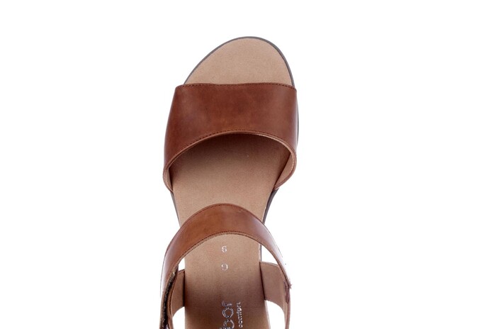 22.750.53 Gabor camel image