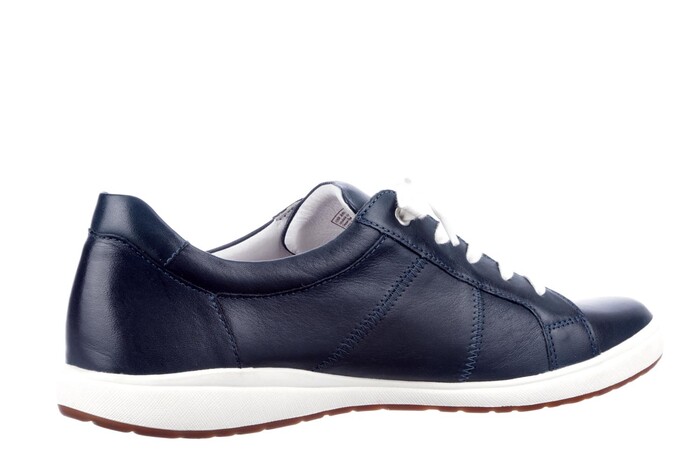67701 Seibel blauw image