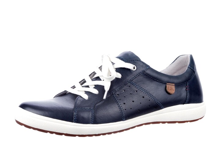 67701 Seibel blauw image