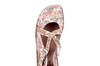 79513 Seibel beige multi thumbnail