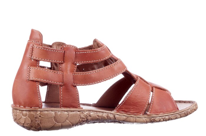 79551 Seibel oranje image