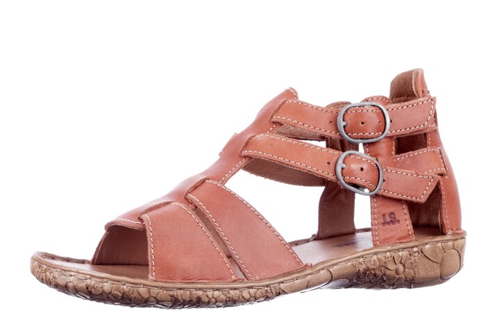 79551 Seibel oranje image