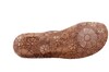 79551 Seibel oranje thumbnail