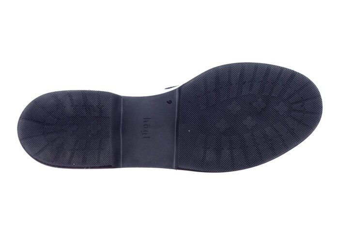 10 1625 Hogl blauw lak image