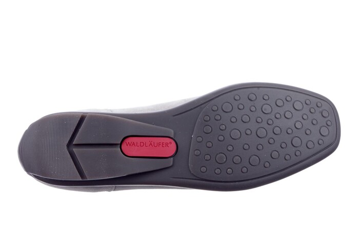 431000 305 H Waldlaufer zilver image
