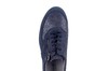 626K02 312 K Waldlaufer blauw thumbnail