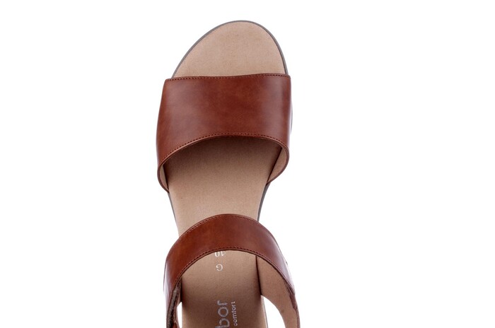 42.750.53 Gabor camel image