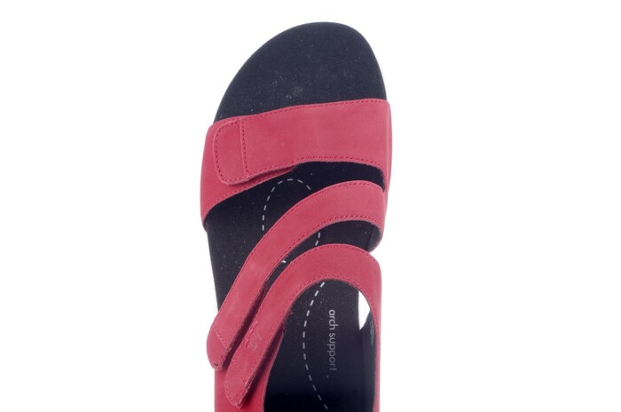 Seibel rood 97303  image