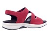 Seibel rood 97303  thumbnail