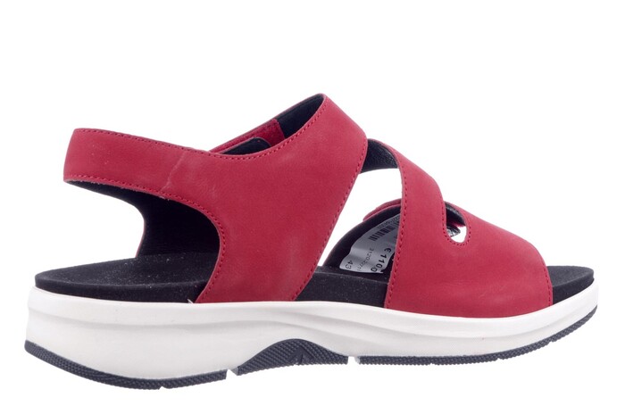 Seibel rood 97303  image
