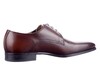 Giorgio bruin 3820261 thumbnail