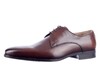 Giorgio bruin 3820261 thumbnail