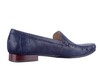 Sioux blauw Campina 67118 F thumbnail