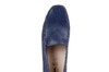 Sioux blauw Campina 67118 F thumbnail