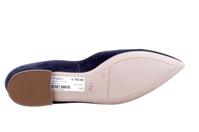 Hogl blauw 10 0012 image