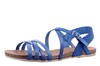 Cosmos blauw 6106807-8 thumbnail