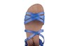 Cosmos blauw 6106807-8 thumbnail
