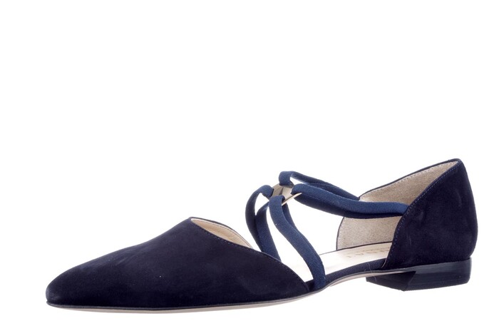 Brunate blauw 11912 image