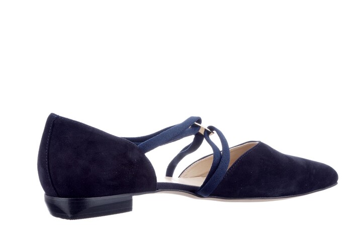 Brunate blauw 11912 image