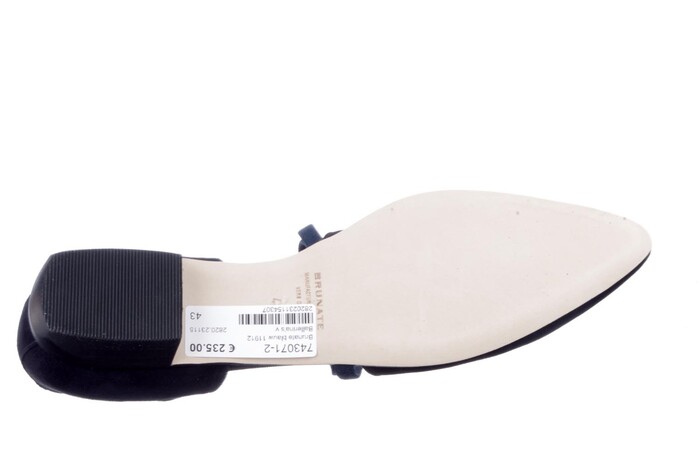 Brunate blauw 11912 image