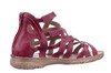 Seibel rood 74106 433.60.001  thumbnail