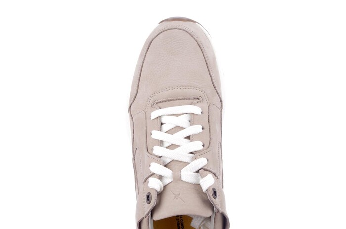 Xsensible taupe Golden Gate 33200.4.504 H image