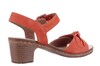 Seibel oranje 86411 thumbnail