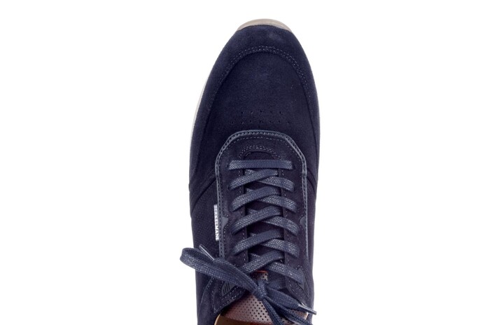Berkelmans blauw Hondo 252023001 image
