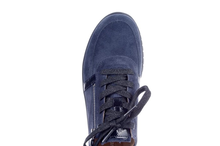Hartjes blauw 162.2401 image