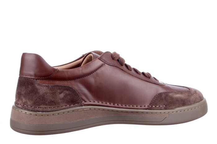 Seibel bruin Cleve 07 13607 image