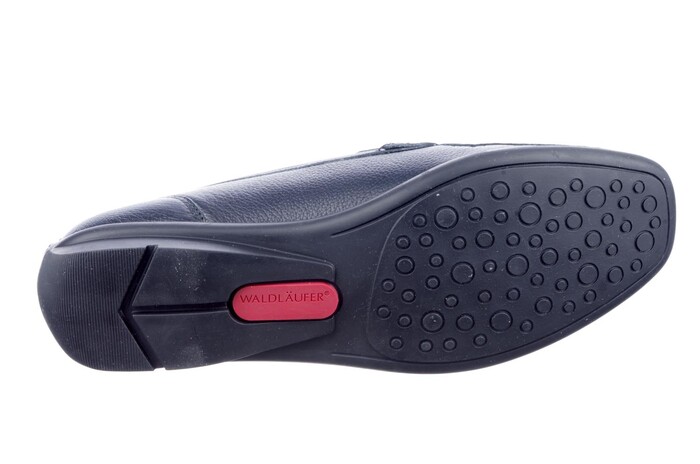 431000 H Waldlaufer blauw image