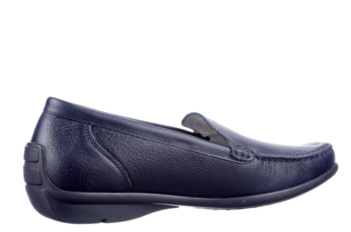 431000 H Waldlaufer blauw image