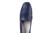 431000 H Waldlaufer blauw thumbnail