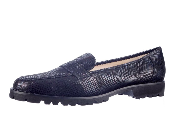2909 BRUNATE BLAUW image