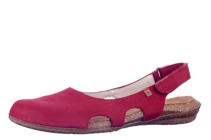 N413 EL NATURALISTA ROOD image